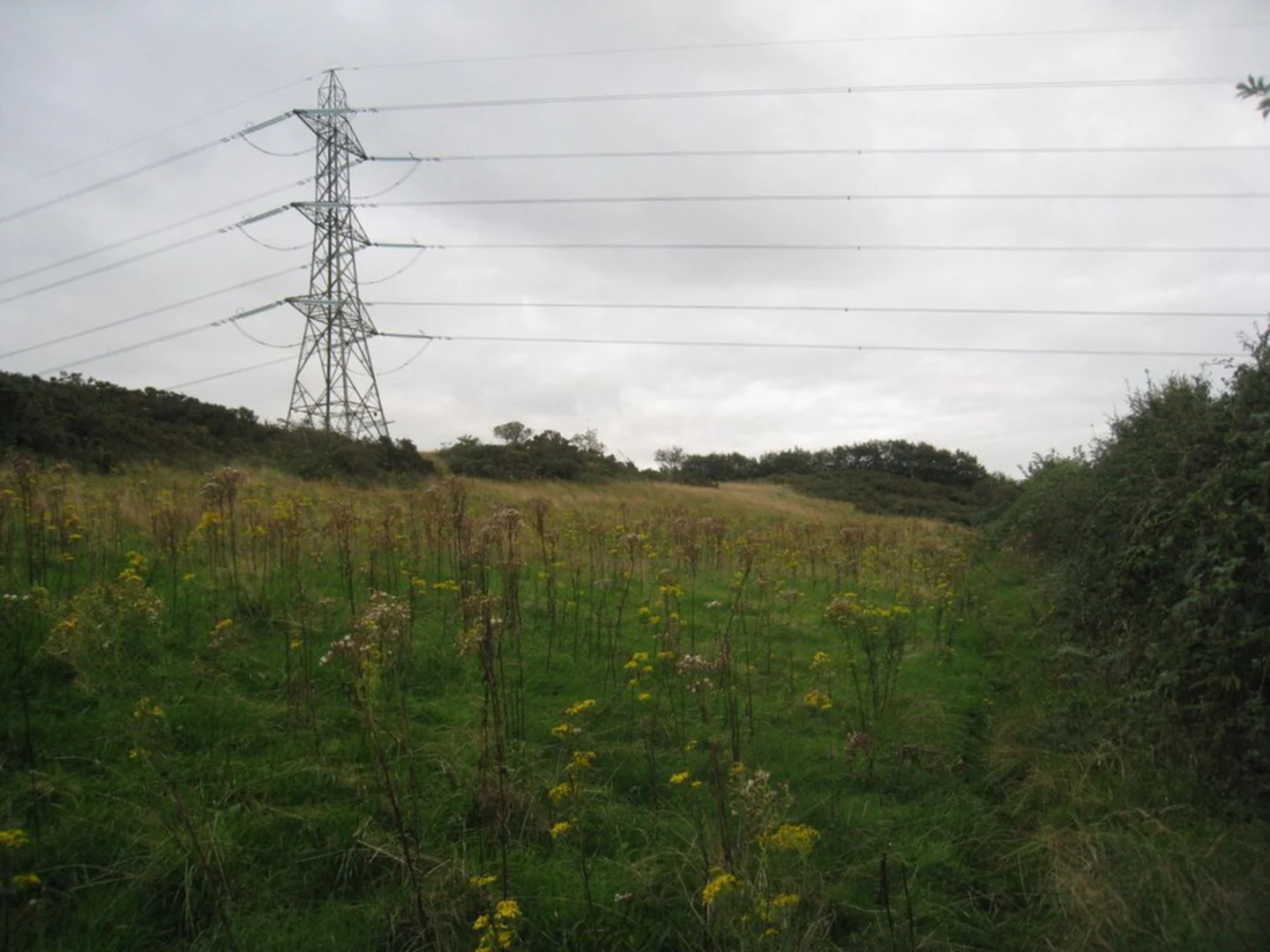 An image depicting the trail Primrose Hill Wood and Kelsborrow Castle Loop - Willington and its surrounding area.