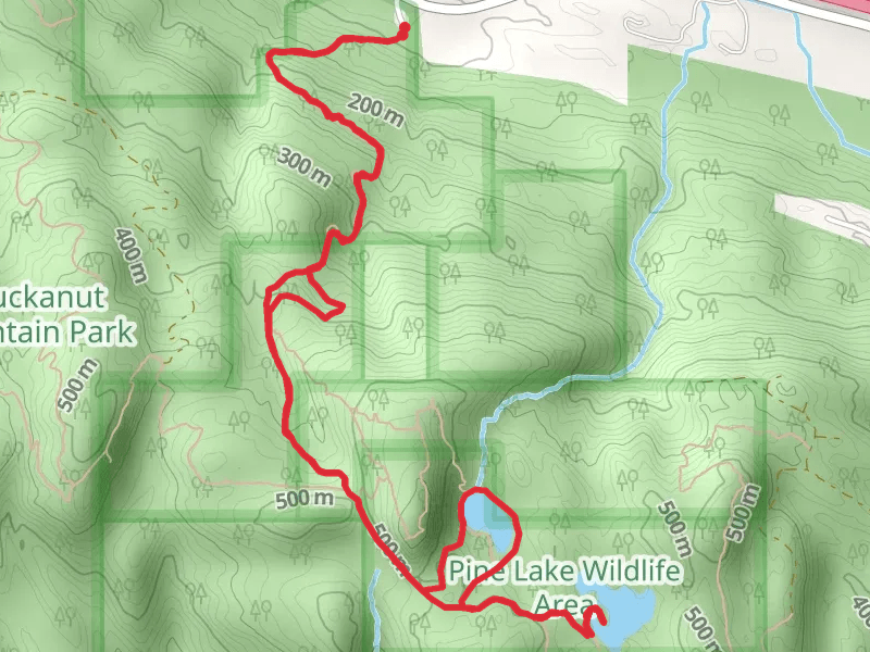 Pine and Cedar Lakes Trail