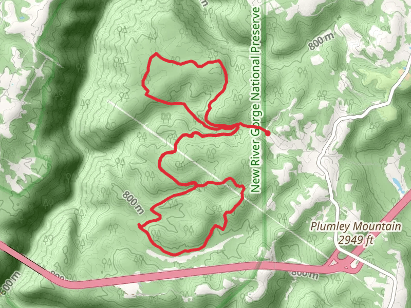 Polls Plateau and Kate's Plateau Loop Trail