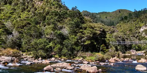An image depicting the trail Karangahake Windows Walk and its surrounding area.