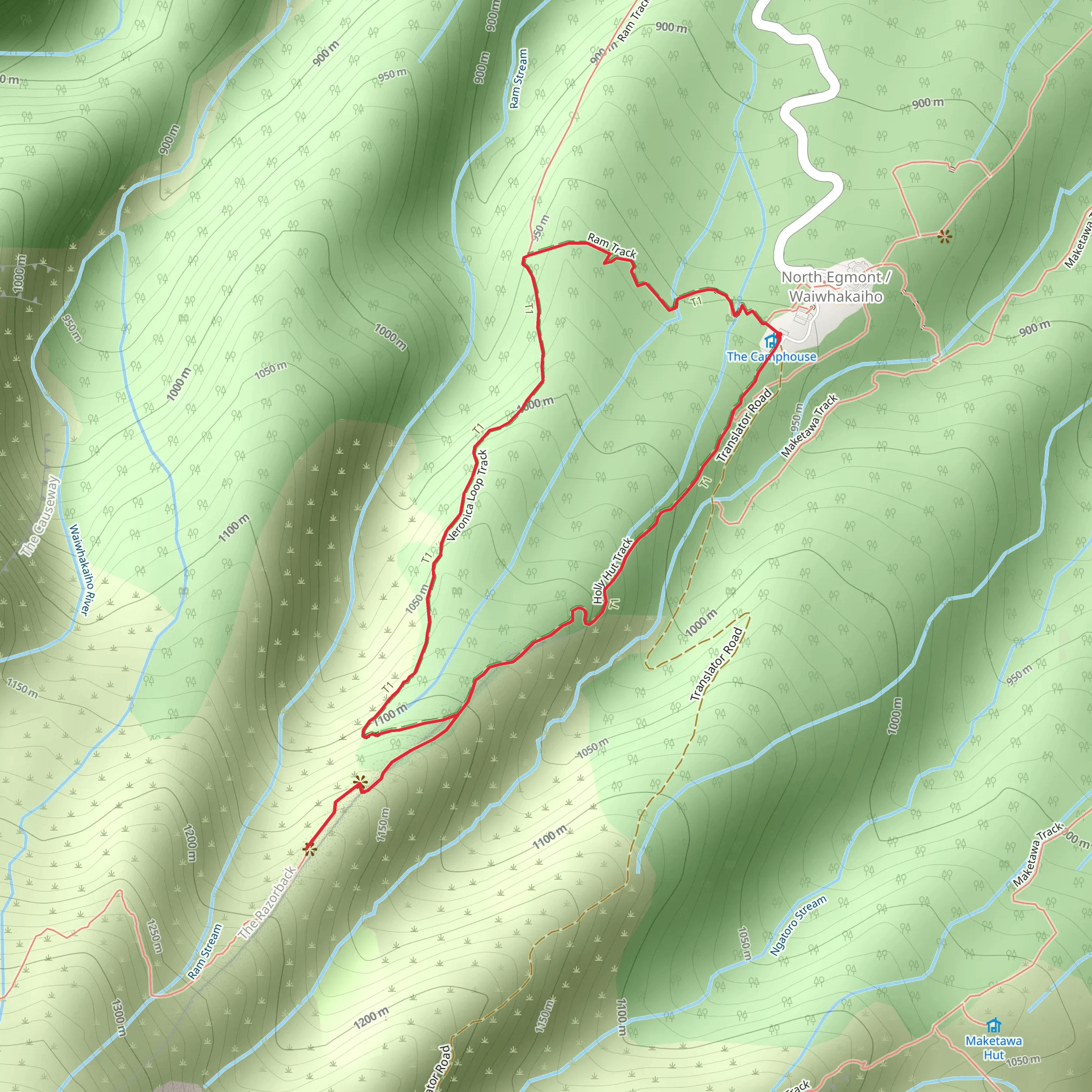 Veronica Loop Track mobile static map