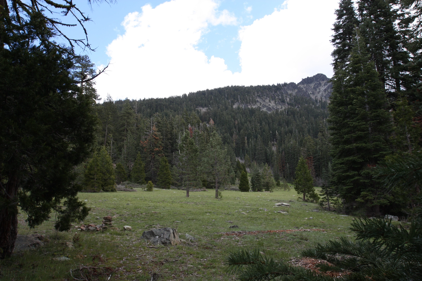 An image depicting the trail Black Rock Mountain via Cold Fork Ridge Trail and its surrounding area.