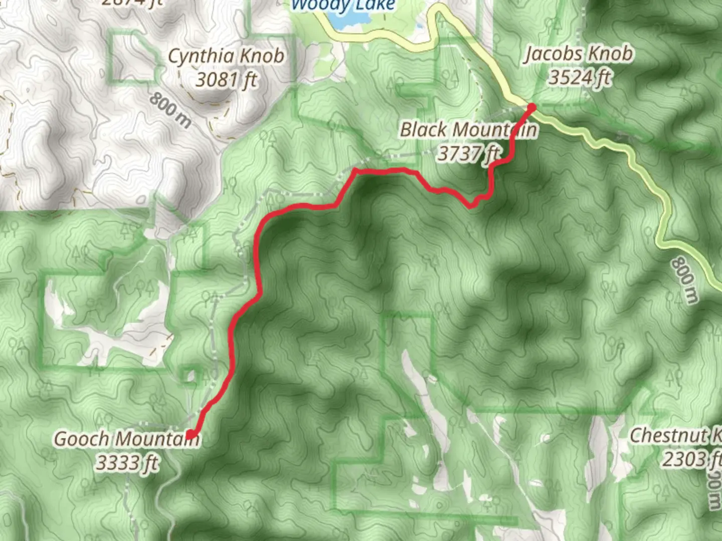 An image depicting the trail Appalachian Trail -Woody Gap and its surrounding area.