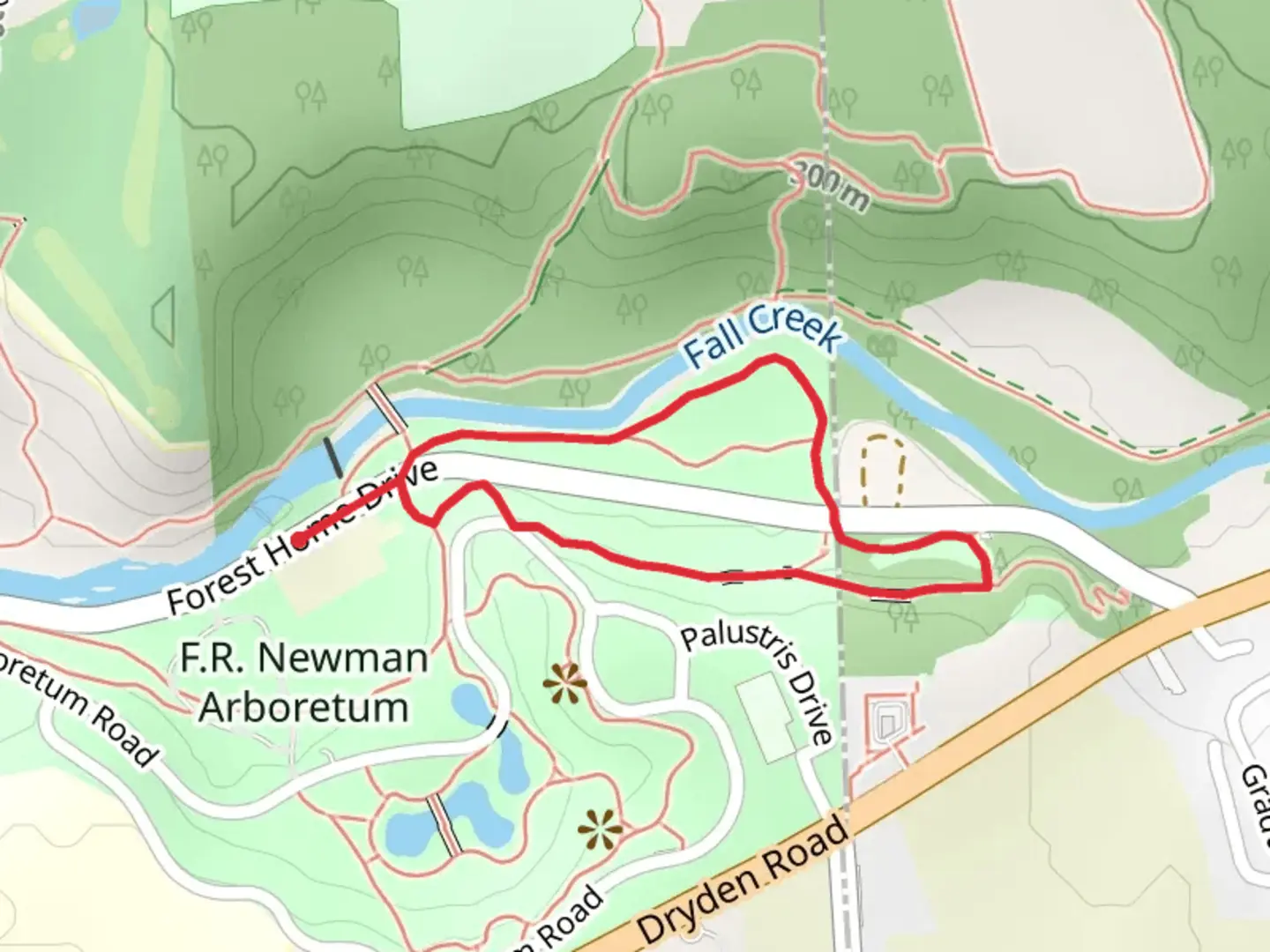 An image depicting the trail Blue Blazes - Fall Creek South Trail and its surrounding area.