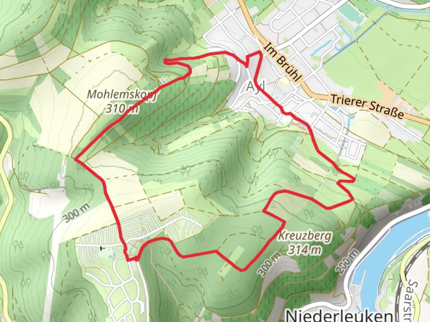 An image depicting the trail Saarweinwanderweg and its surrounding area.
