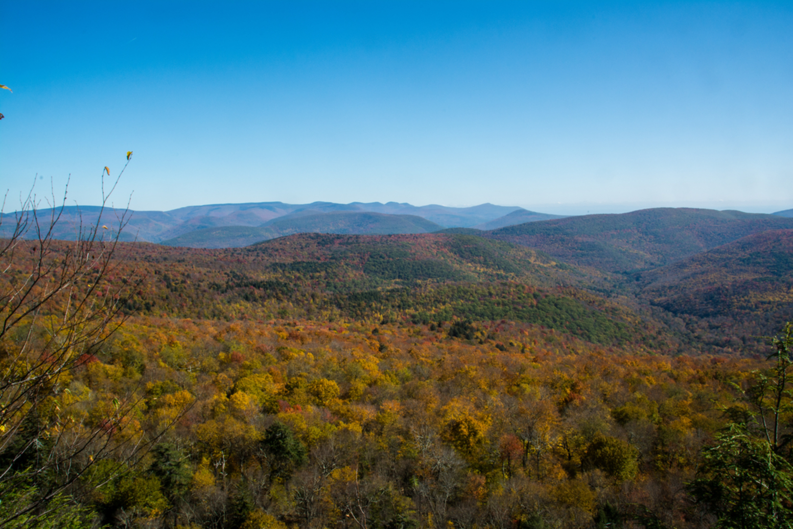 An image depicting the trail Panther Mountain Trail and its surrounding area.
