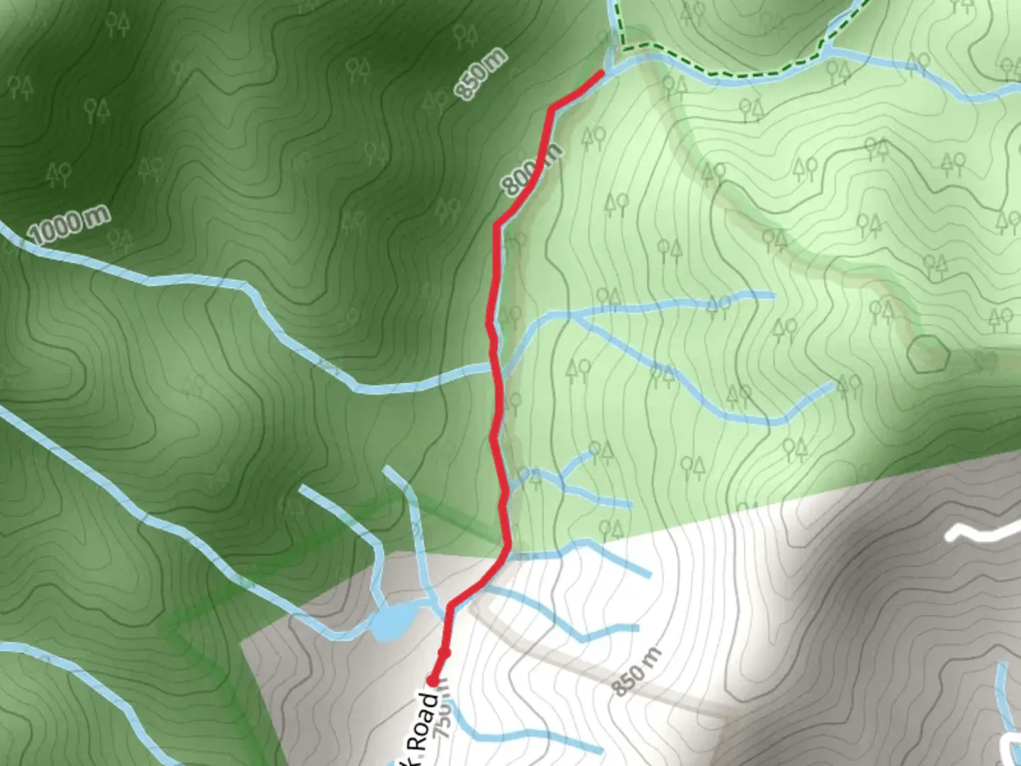 An image depicting the trail Cooper Creek Trail and its surrounding area.