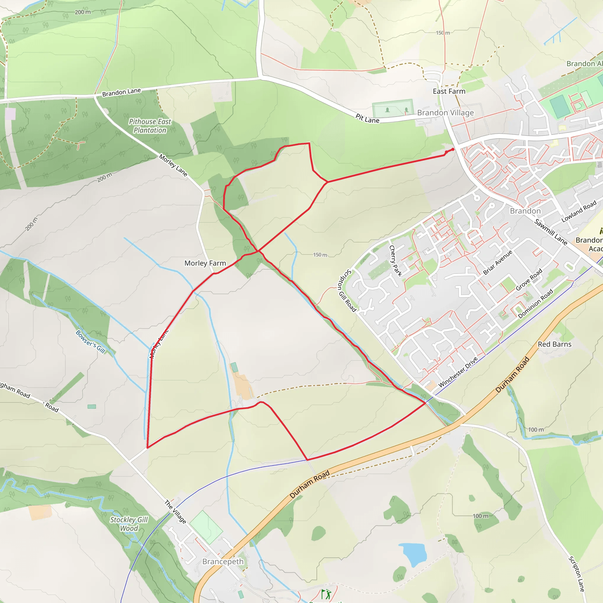 Brandon Loop mobile static map