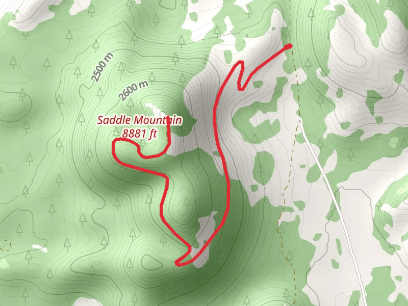 Saddle Mountain Walk