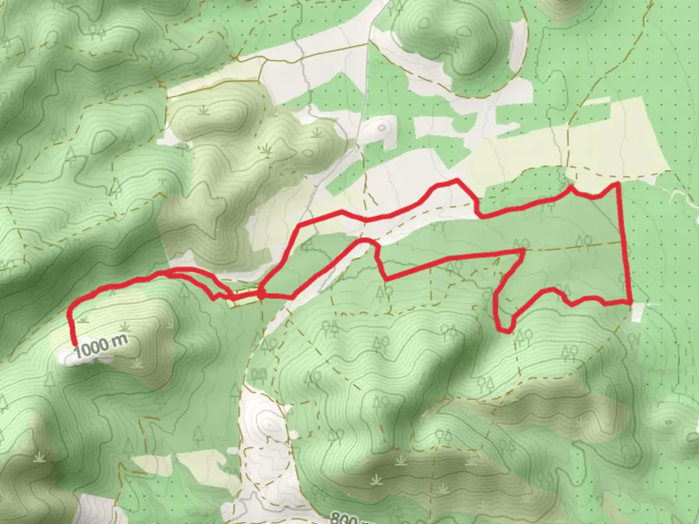 An image depicting the trail Path of the Lynx PR TO 11 and its surrounding area.