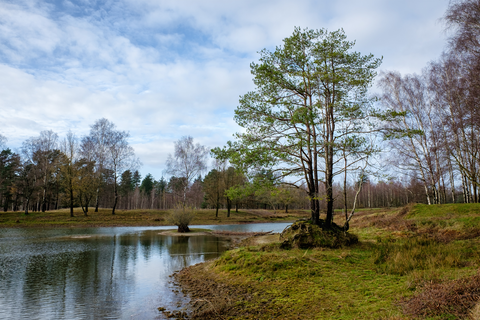 Leeuwerikenlaan, Vogelenzangseweg, Rijwielpad Boswachterij Noordwijk and Zuiderduinpad Loop