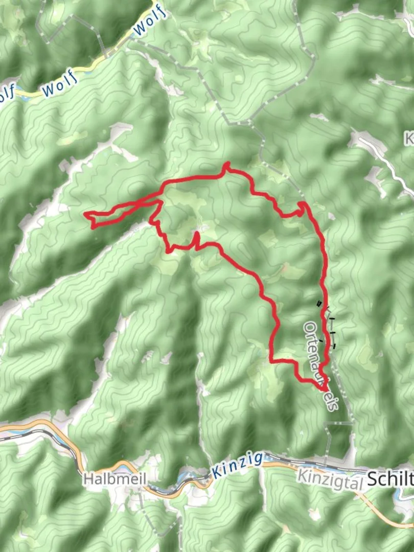 An image depicting the trail Fichberg, Gutschberg and Hausbuhl Loop and its surrounding area.
