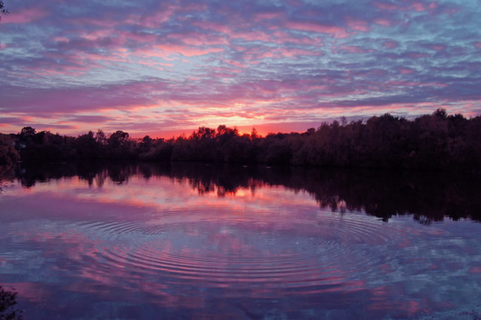 An image depicting the trail Hartsholme Lake, Park and Swanholme Lakes Loop and its surrounding area.
