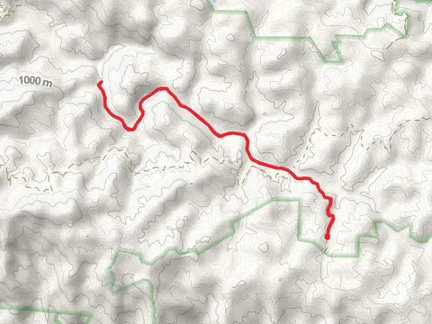 Laurel Fork Trail