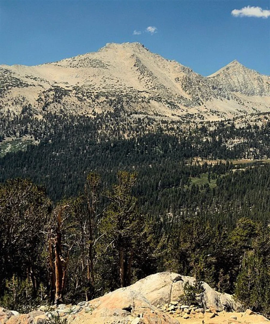 An image depicting the trail Hopkins Pass via McGee Pass Trail and its surrounding area.