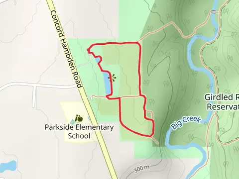 Skok Meadow Loop Trail