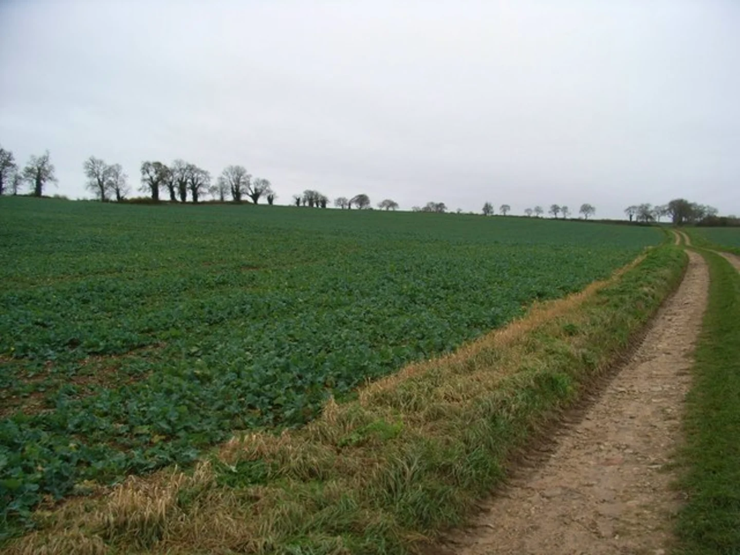An image depicting the trail Guiting Power - Naunton Circular and its surrounding area.