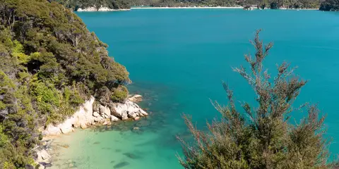 An image depicting the trail Pitt Head Loop and its surrounding area.