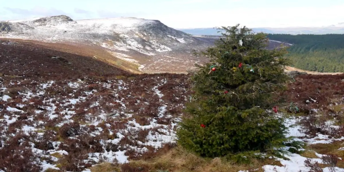 The Simonside Hills Walk