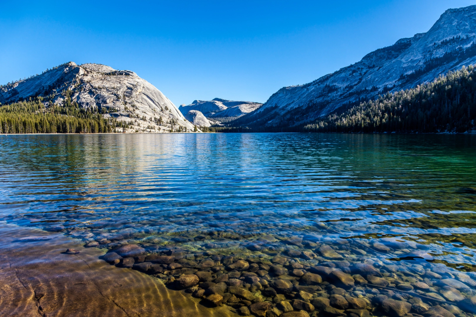 An image depicting the trail Clouds Rest Trail from Tenaya Lake and its surrounding area.