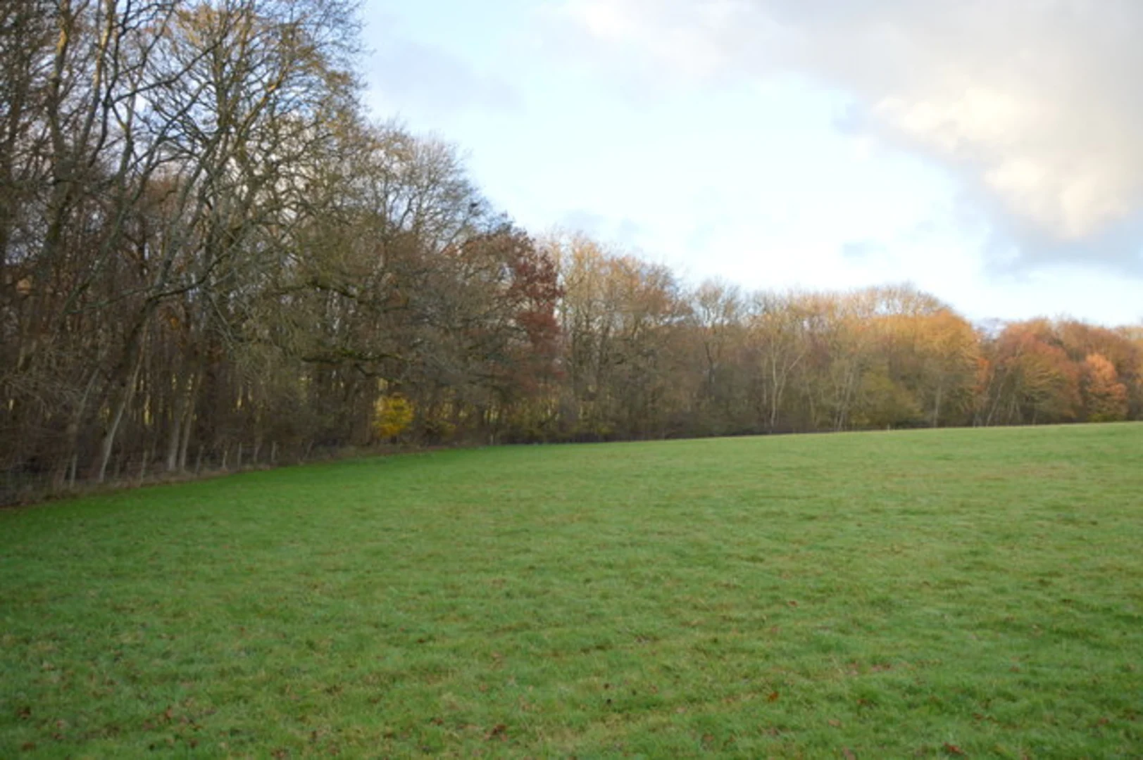 An image depicting the trail Rusper and Lambs Green Loop via Horsegills Wood and its surrounding area.