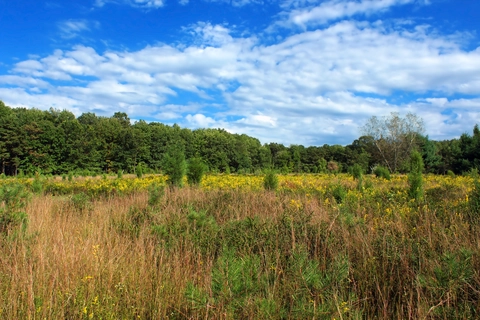 Wind Gap via Appalachian Trail