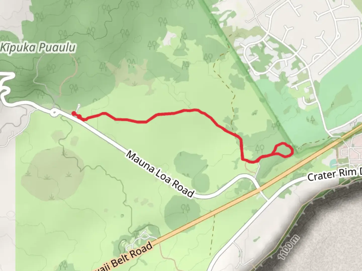 An image depicting the trail Lava Tree Molds Walk and its surrounding area.