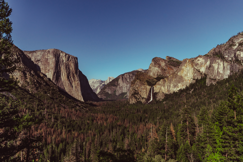 An image depicting the trail Artist Point Trail and its surrounding area.