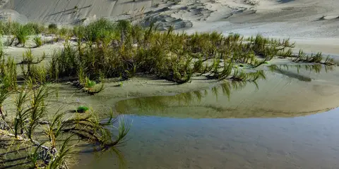 An image depicting the trail Te Paki Stream Trail and its surrounding area.
