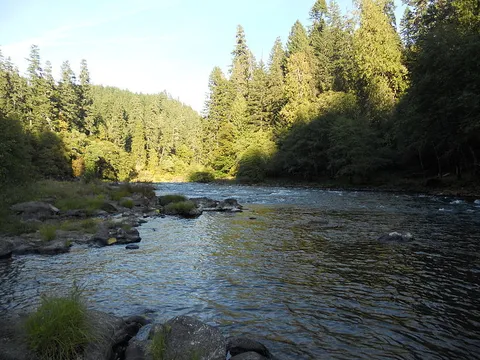 An image depicting the trail Williams Creek Trail and its surrounding area.