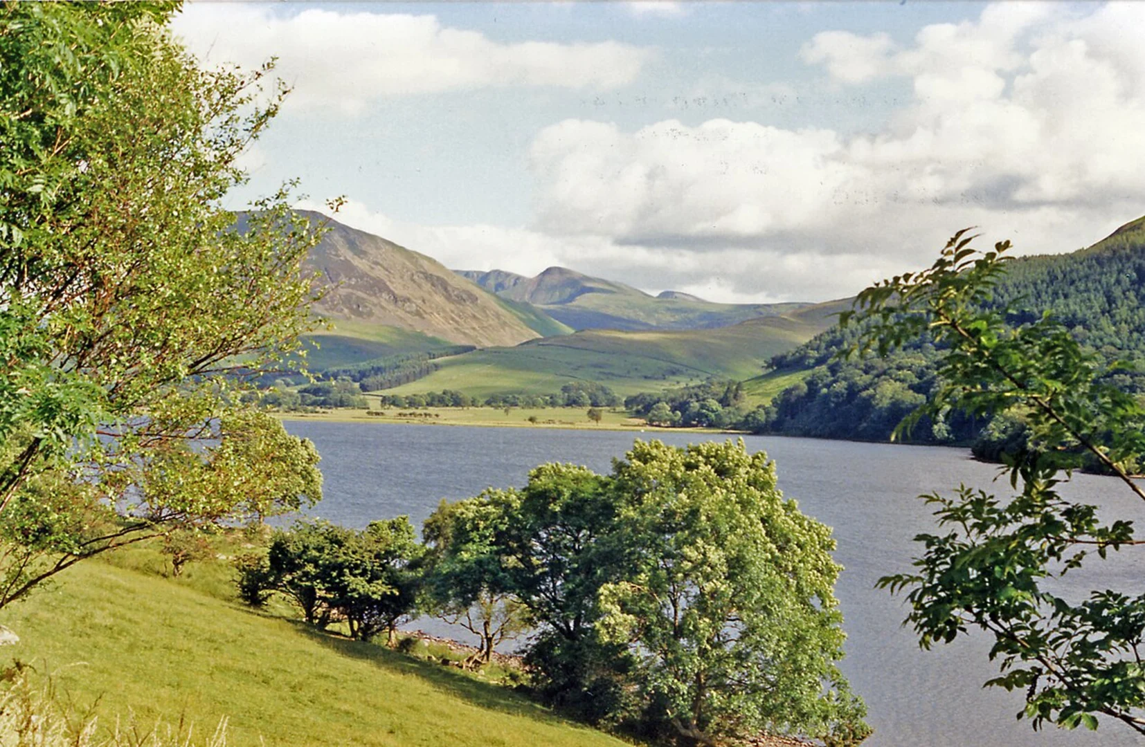 An image depicting the trail Loweswater and Holme Wood Loop and its surrounding area.