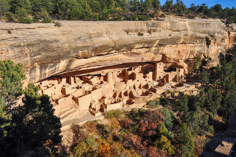 An image depicting the trail Cliff Palace Loop Trail and its surrounding area.