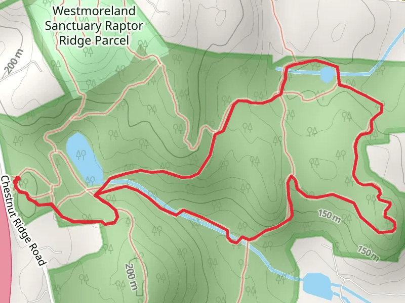 Chestnut Ridge Road Loop