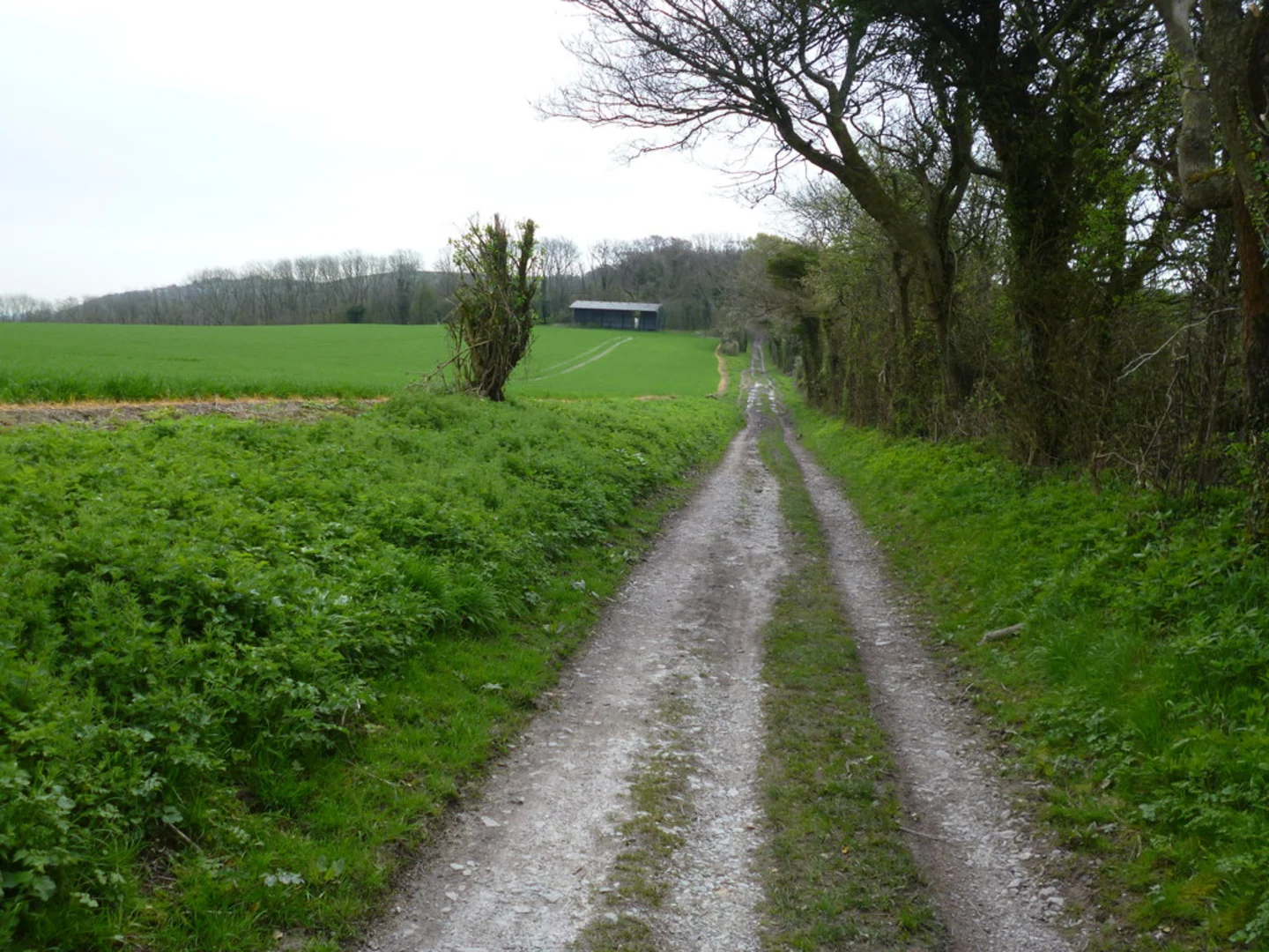 An image depicting the trail West Harting Down and Coulters Dean Loop - South Harting and its surrounding area.