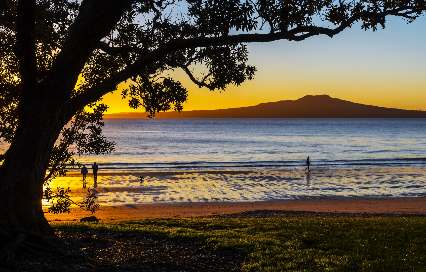An image depicting the trail Takapuna to Long Bay and its surrounding area.