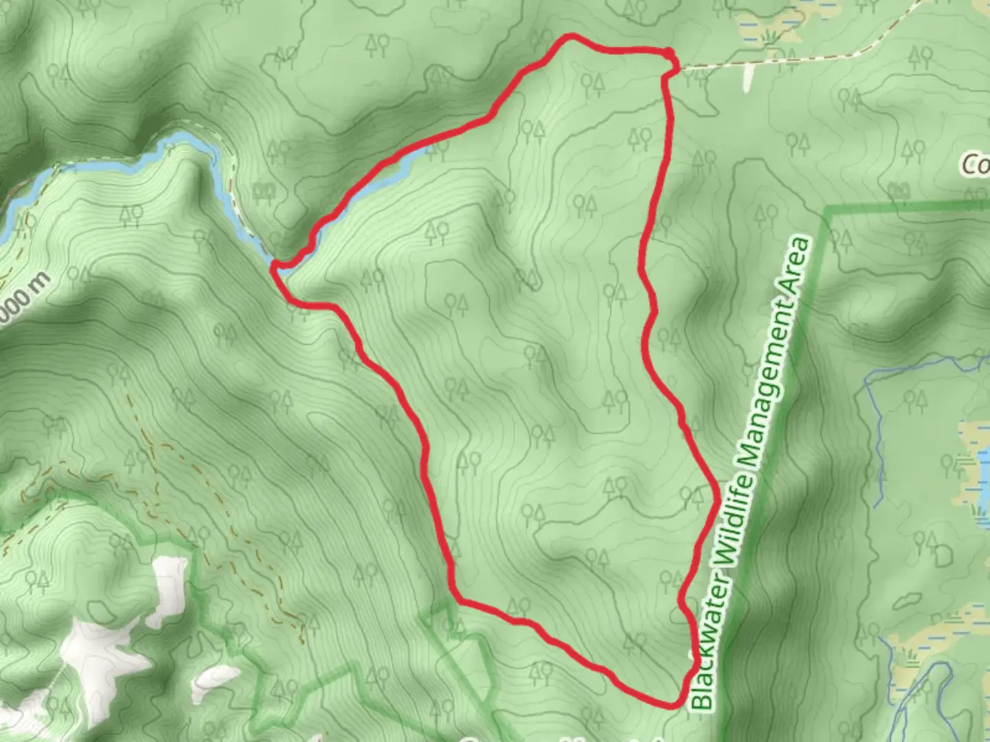 An image depicting the trail Pointy Knob Loop Trail and its surrounding area.