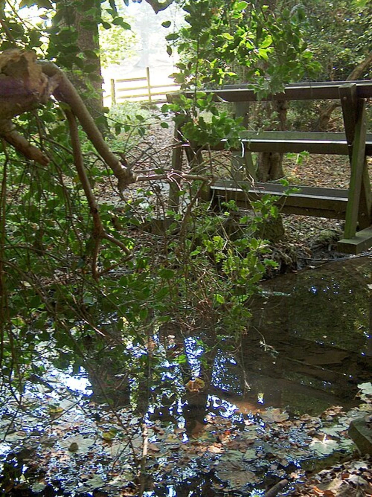 Gillfield Wood via GHB Ward Walk and Dronfield Rotary Walk