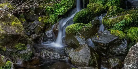 An image depicting the trail Wilkies Pools Loop Track and its surrounding area.