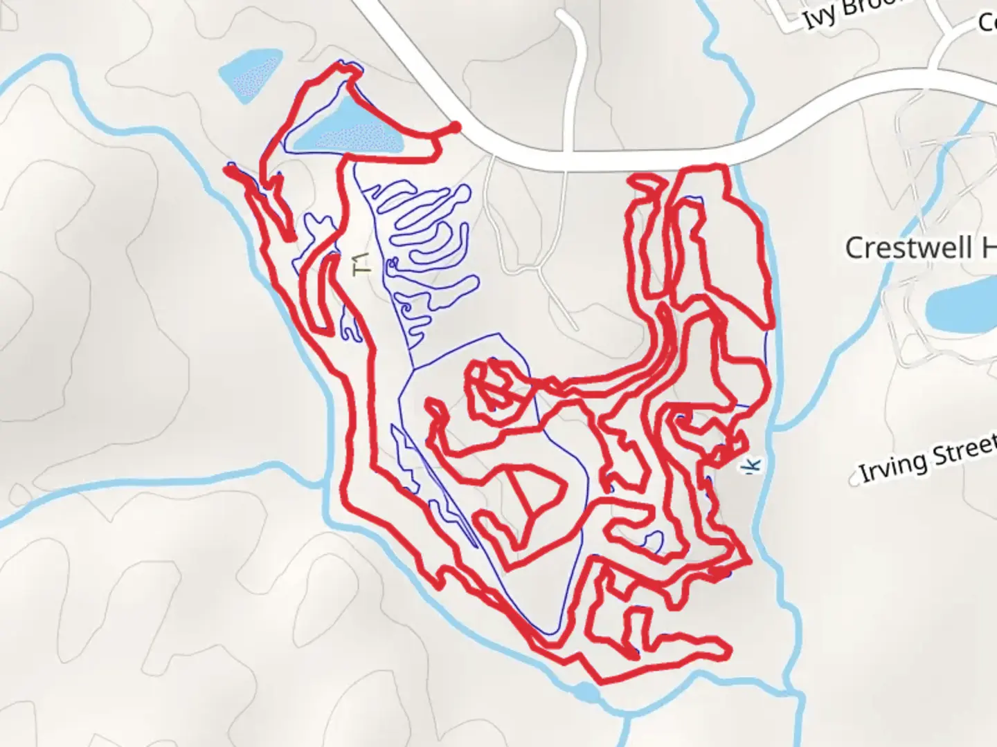 An image depicting the trail Pig Loop Trail and its surrounding area.