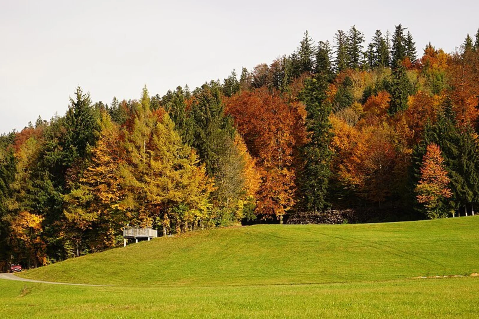 An image depicting the trail Vöcklamarkt to Ziegelhaid Loop 2 via Pfaffing Church and its surrounding area.
