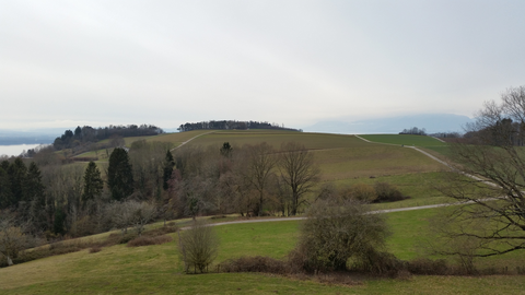 An image depicting the trail Sentier historique du Vully and its surrounding area.