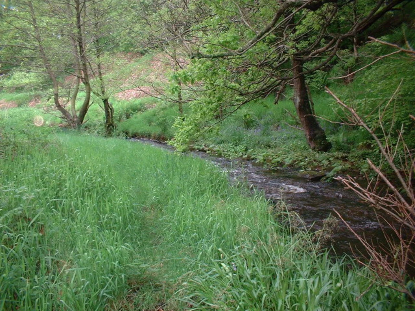 An image depicting the trail Ashworth Valley Walk and its surrounding area.
