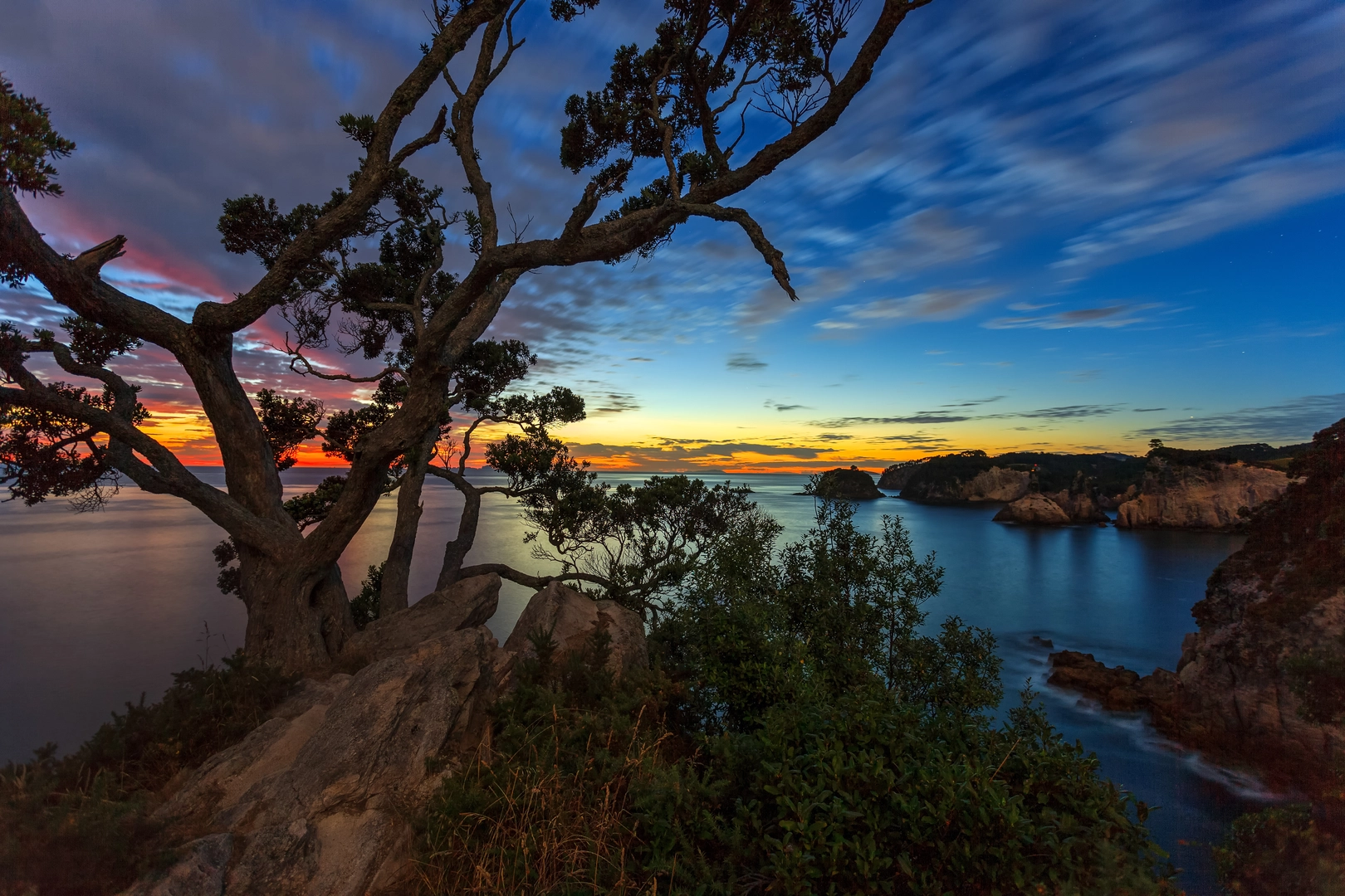 An image depicting the trail Te Pare Point Historic Reserve Trail and its surrounding area.