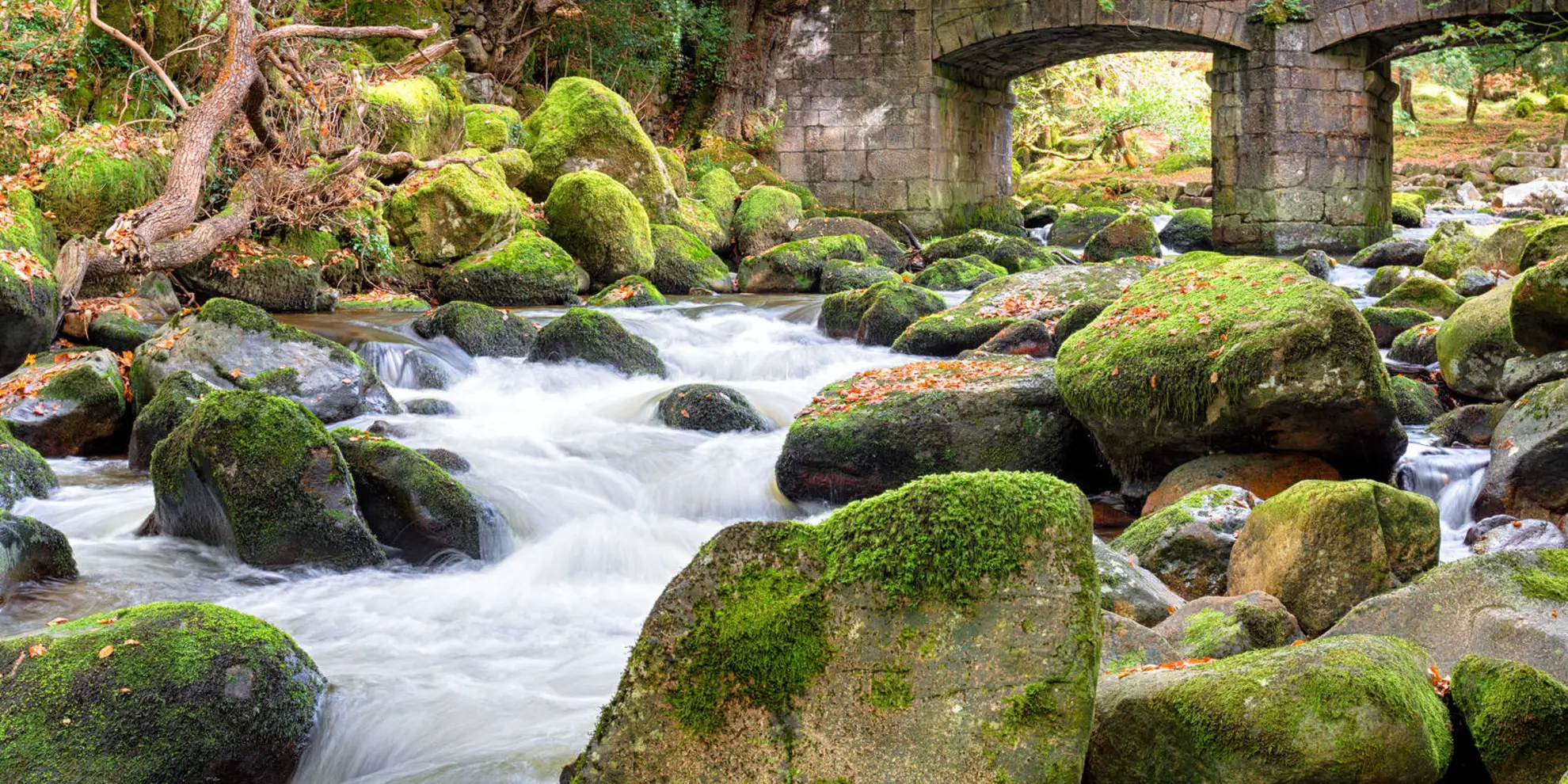 An image depicting the trail The Meavy and Plym Valleys from Shaugh Bridge and its surrounding area.