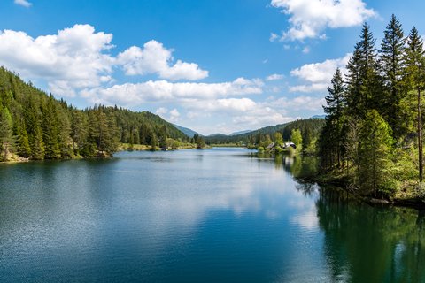 Schwarzwalstern Loop Hike