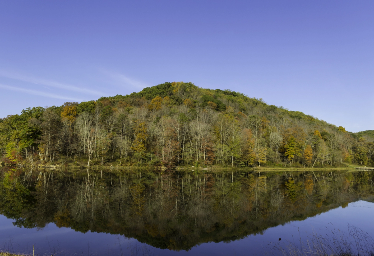 An image depicting the trail Pine Lake via Logan Trail South Loop and its surrounding area.