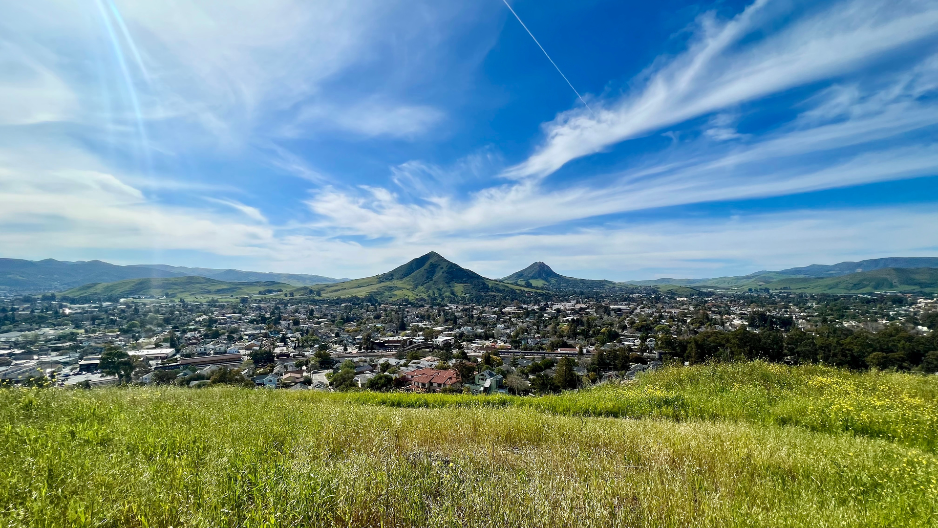 An image depicting the trail Cerro San Luis Obispo and Bishop Peak via Lemon Grove Loop and its surrounding area.