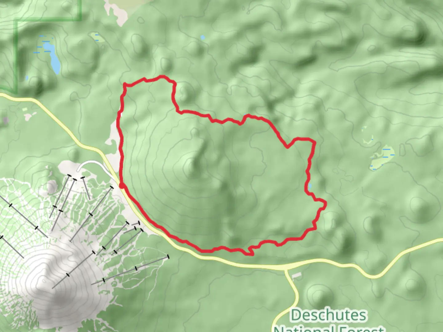 An image depicting the trail Swampy-Dutchman and Flagline Trail and its surrounding area.
