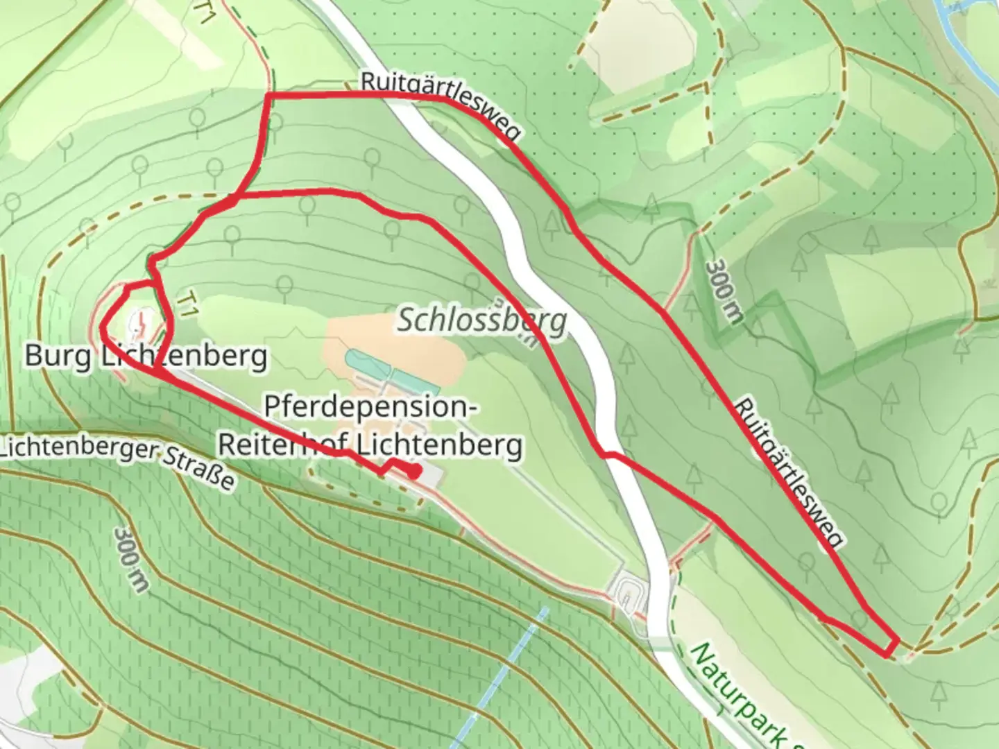An image depicting the trail Burg Lichtenberg and Schlossberg via Ruitgärtlesweg and its surrounding area.