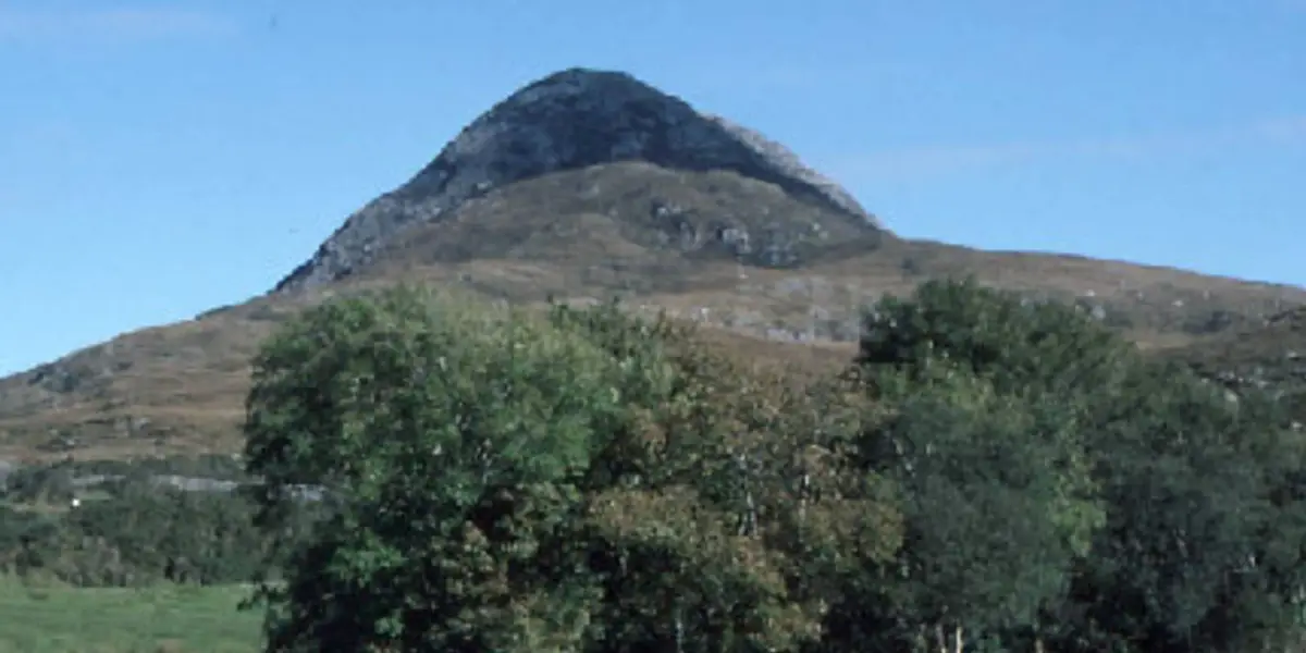 Diamond Hill Bog Road